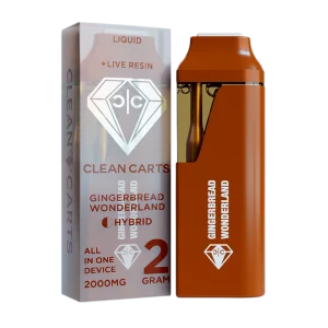 Gingerbread Wonderland